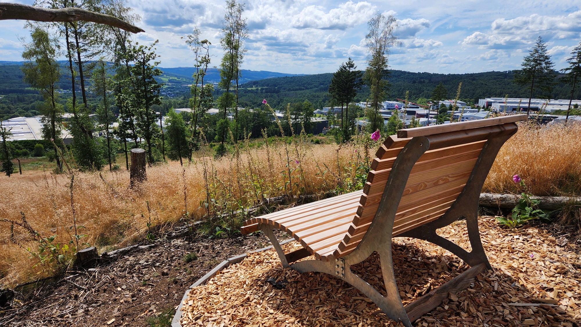 240823_Wanderverein Haigerseelbach verschönert beliebten Rastplatz mt enuen Sitzgelegenheiten 2.jpg