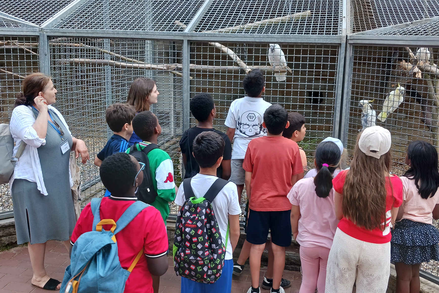 Bild zum Artikel: Tierisch guter Social Day für Grundschulkinder von der Viktoriastraße 